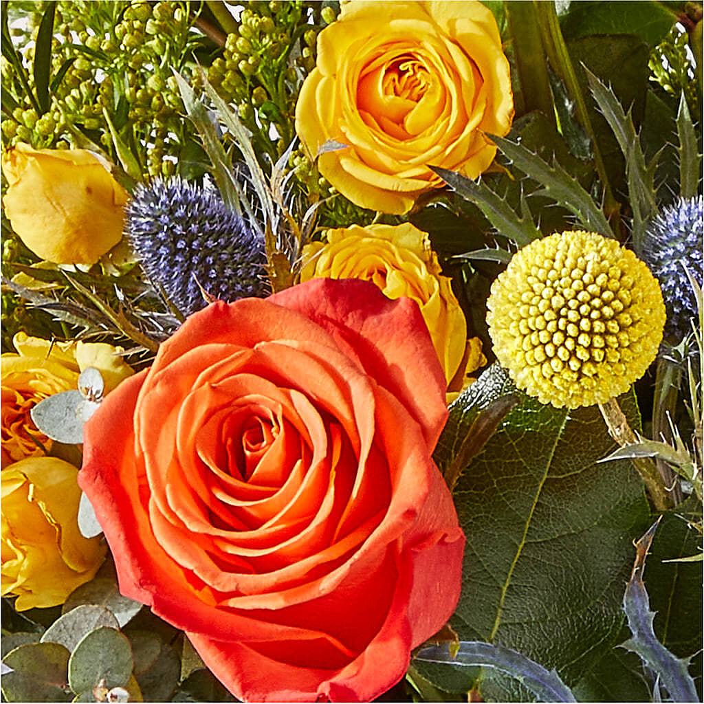 Disco Bouquet – BURNETT'S FLOWERS & GIFTS, Tulsa OK