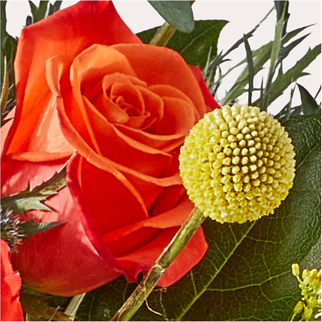 Disco Bouquet – BURNETT'S FLOWERS & GIFTS, Tulsa OK
