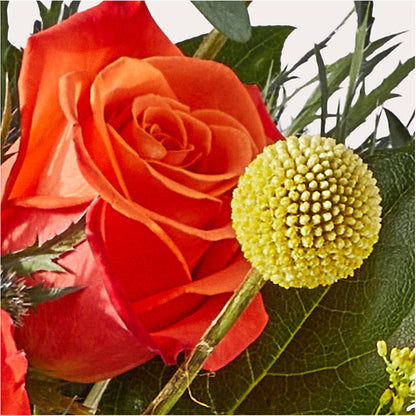 Disco Bouquet – BURNETT'S FLOWERS & GIFTS, Tulsa OK