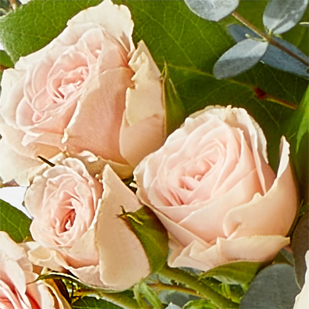 Inspired Bouquet – BURNETT'S FLOWERS & GIFTS, Tulsa OK