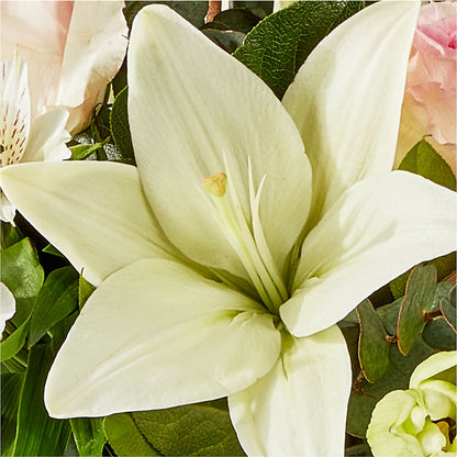 Ballet Slippers Bouquet – BURNETT'S FLOWERS & GIFTS, Tulsa OK