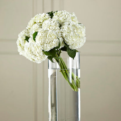 White Hydrangea Hand-Tied Bouquet – BURNETT'S FLOWERS & GIFTS, Tulsa OK