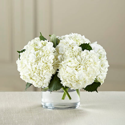 White Hydrangea Bouquet – BURNETT'S FLOWERS & GIFTS, Tulsa OK