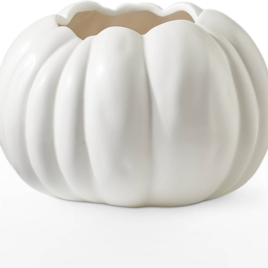 Pumpkin to Talk About Bouquet – BURNETT'S FLOWERS & GIFTS, Tulsa OK